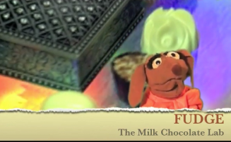 Comments from the Koala 24: Fudge the Milk Chocolate Lab