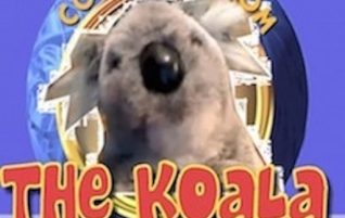 Happy 5th Anniversary to Comments from the Koala!
