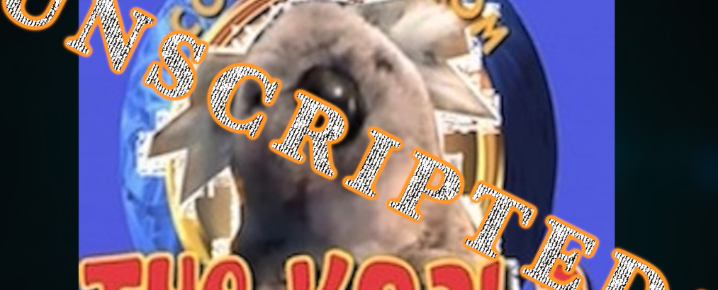 Comments from the Koala 61: The Unscripted Pup!